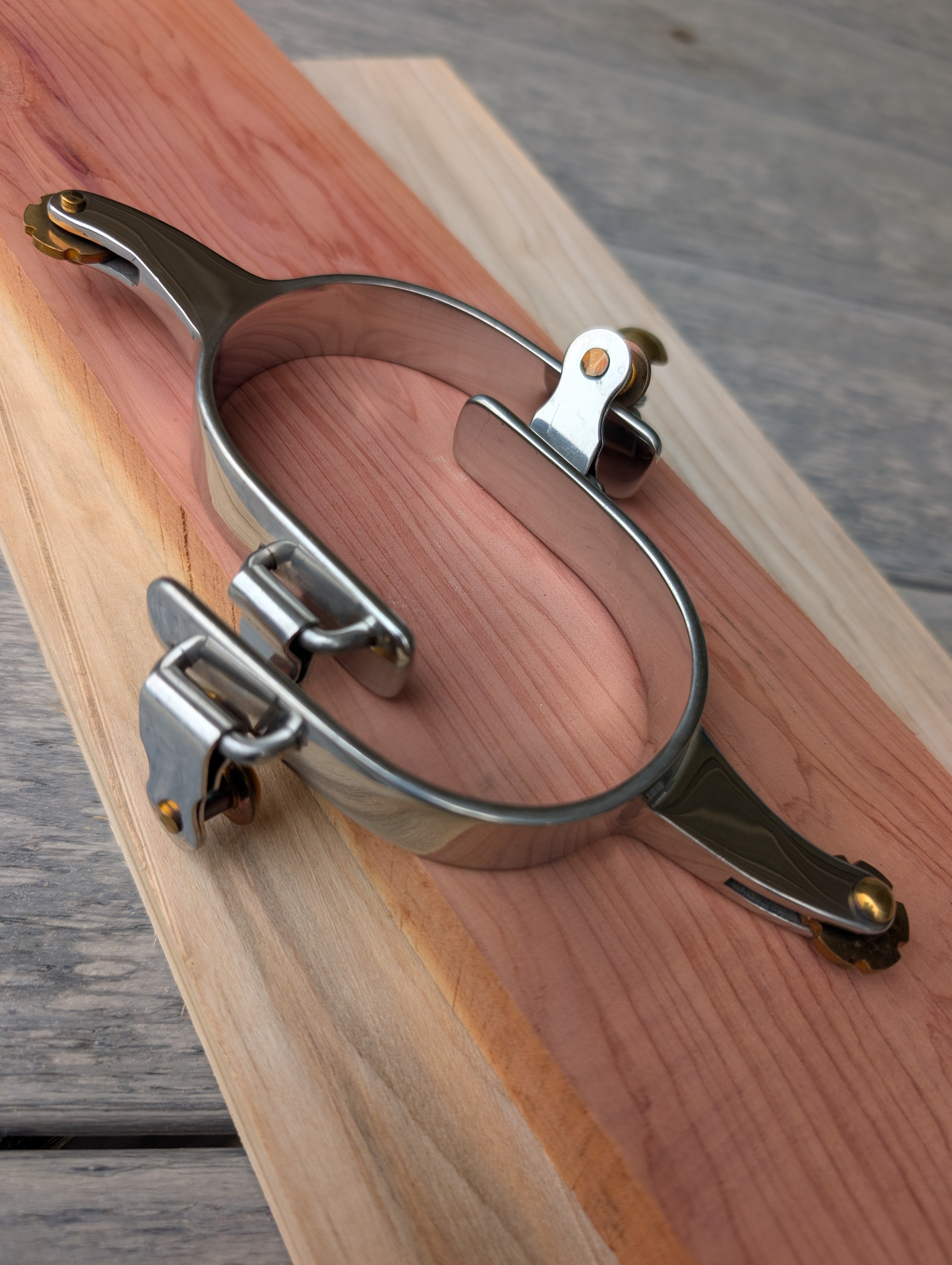 Traditional cowgirl spurs