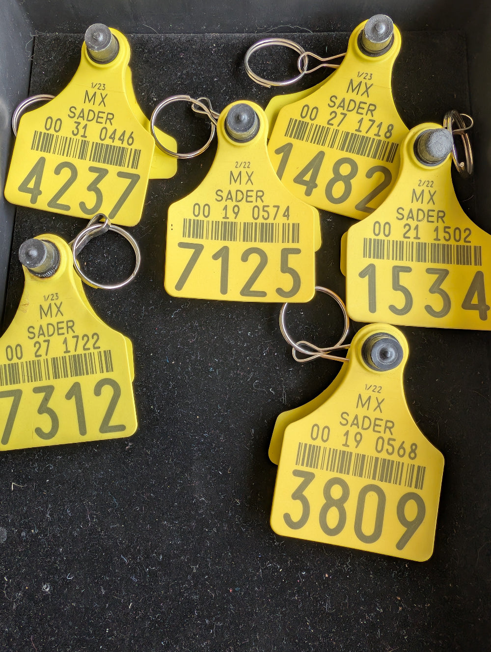 Western cow ear tag keychain