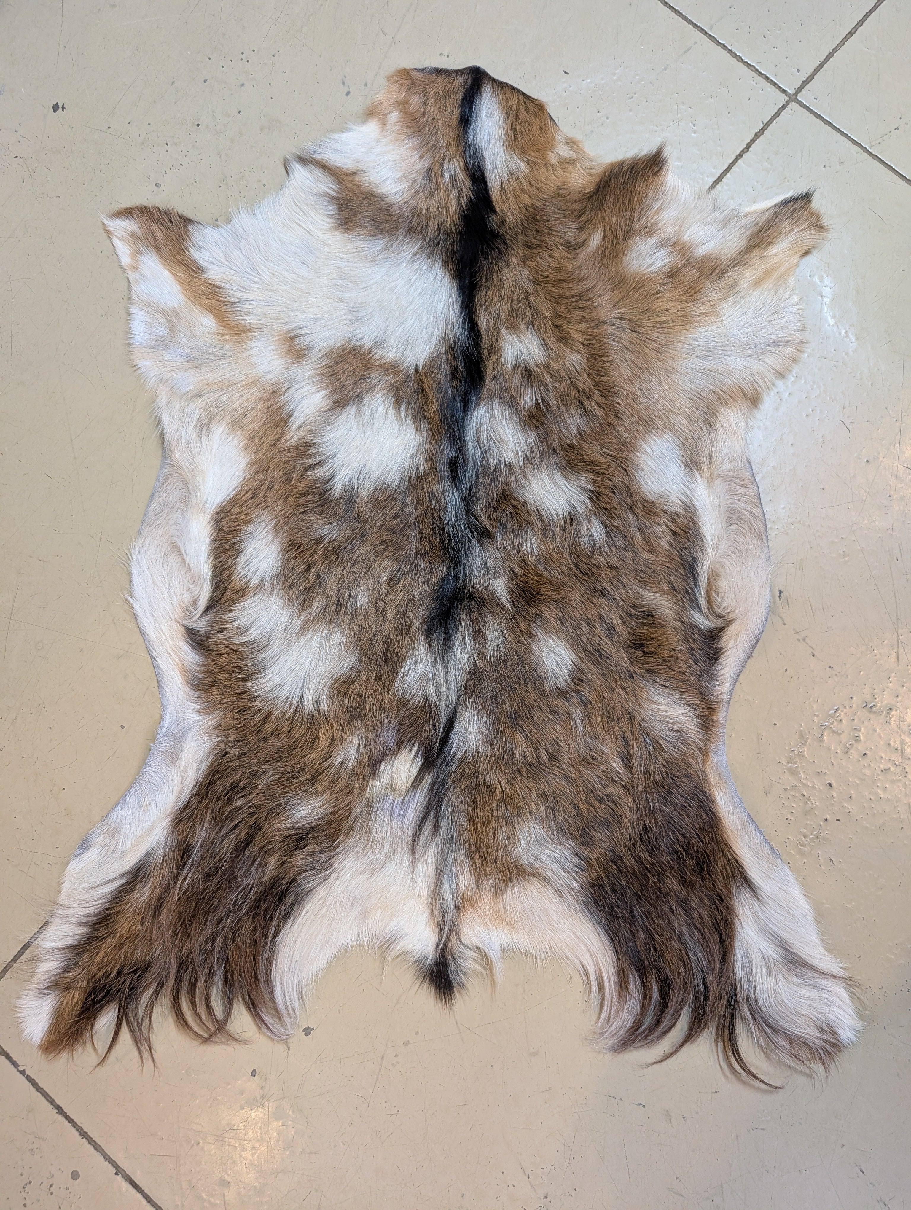 Goat hide with dots