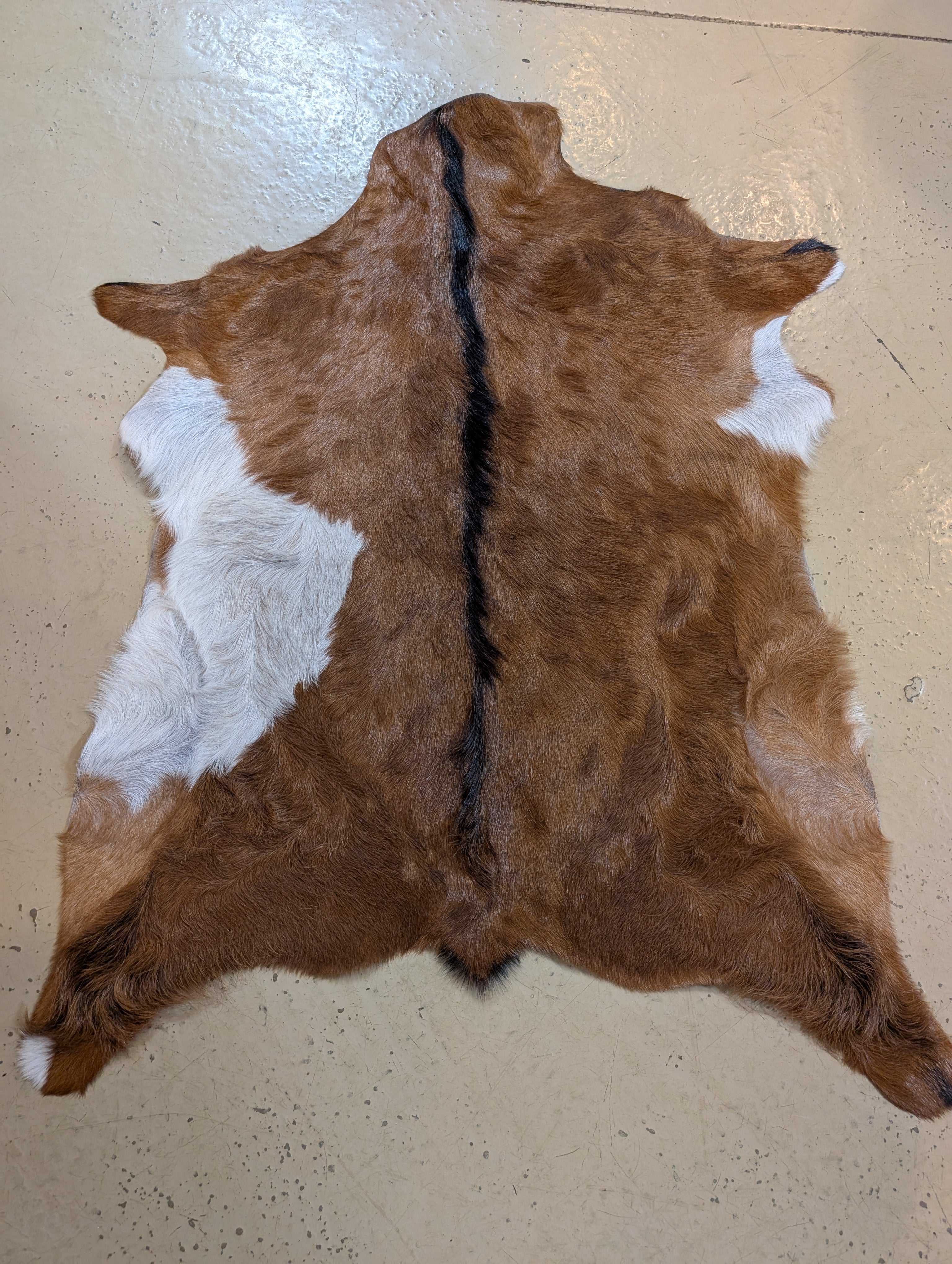 Genuine goat hide rug with natural markings – perfect for rustic home decor, tabletops, or accent styling