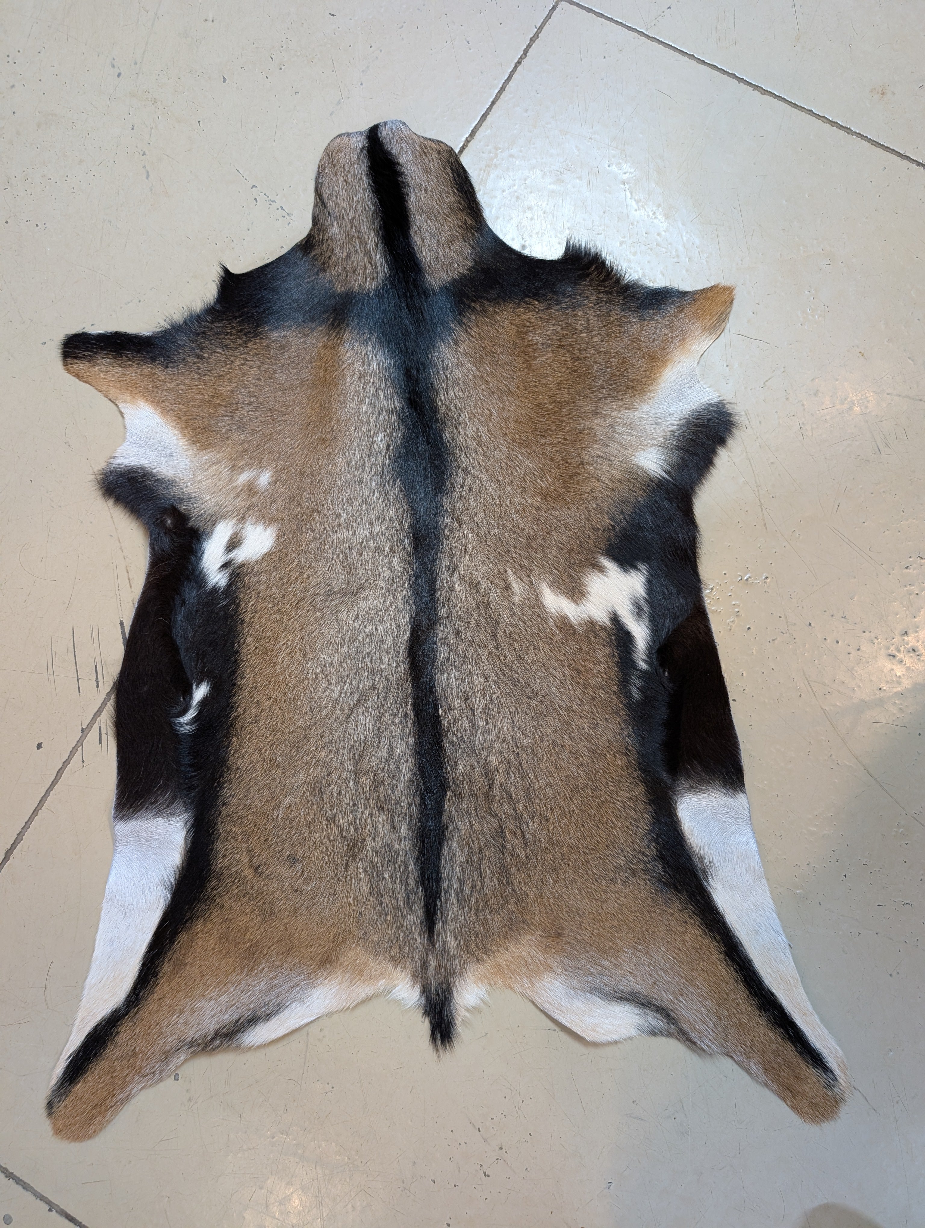 Genuine goat hide tri-color
