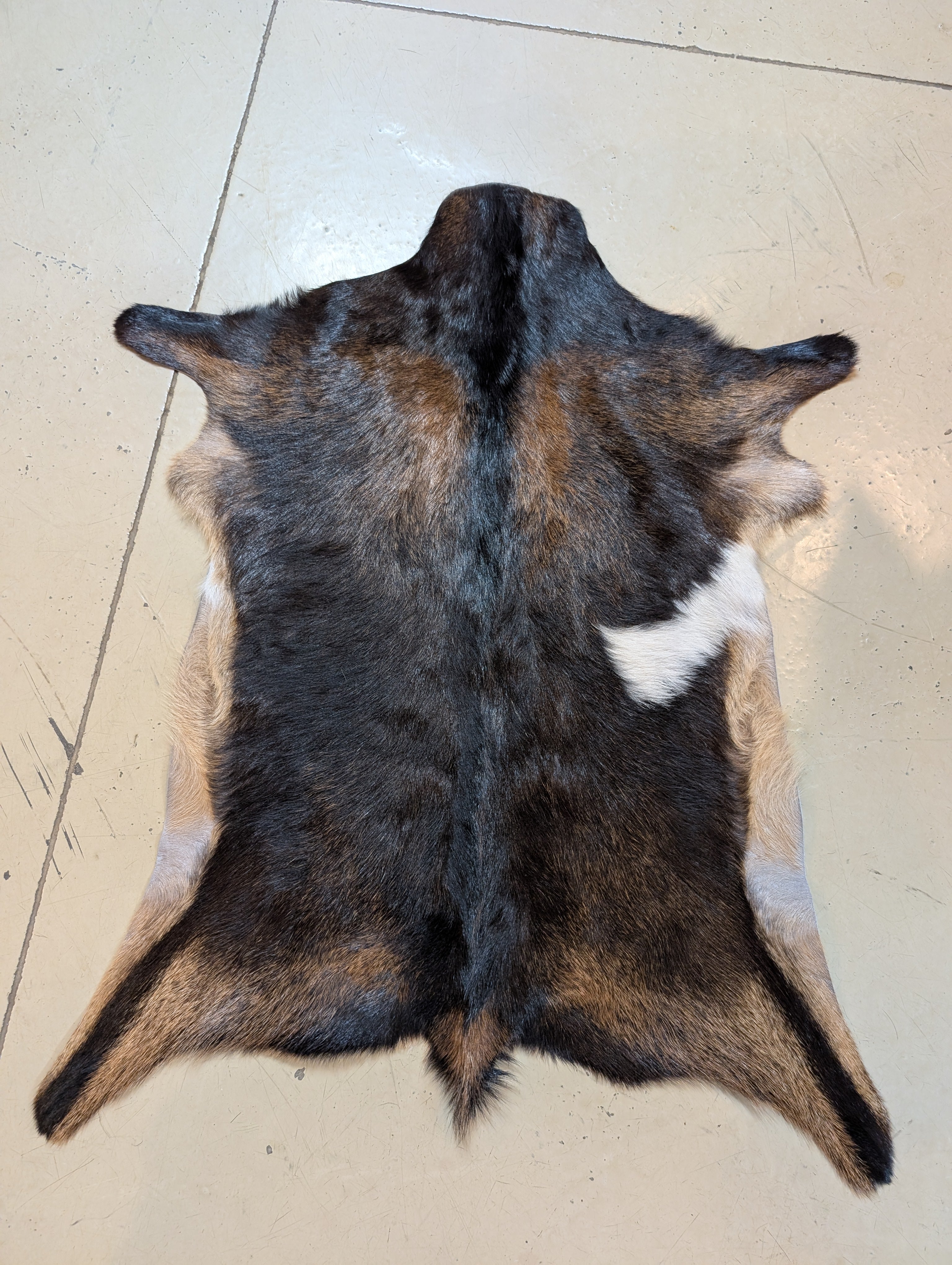 Genuine Goat Hide