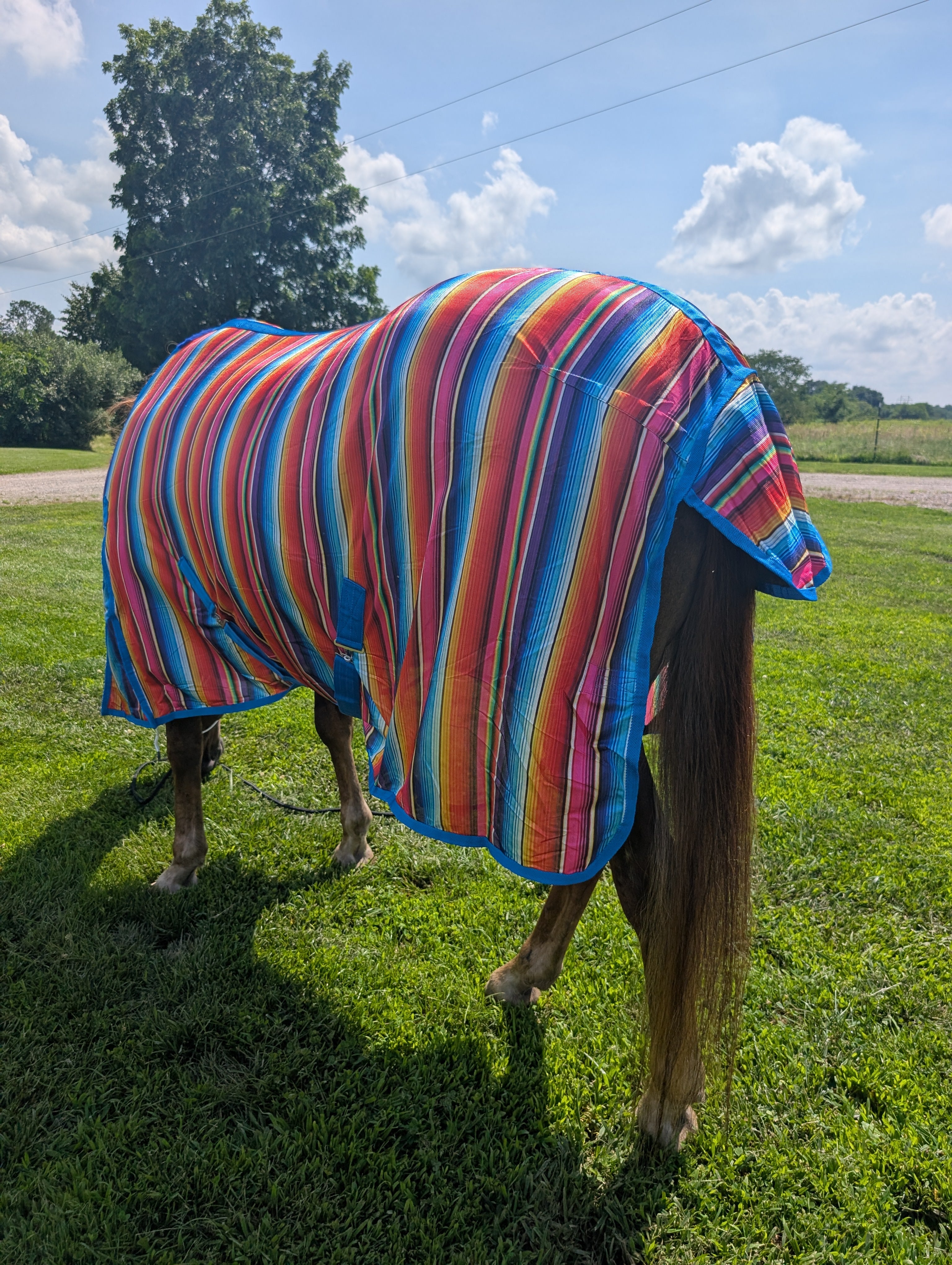 Durable summer turnout sheet with insect and sun protection in serape style