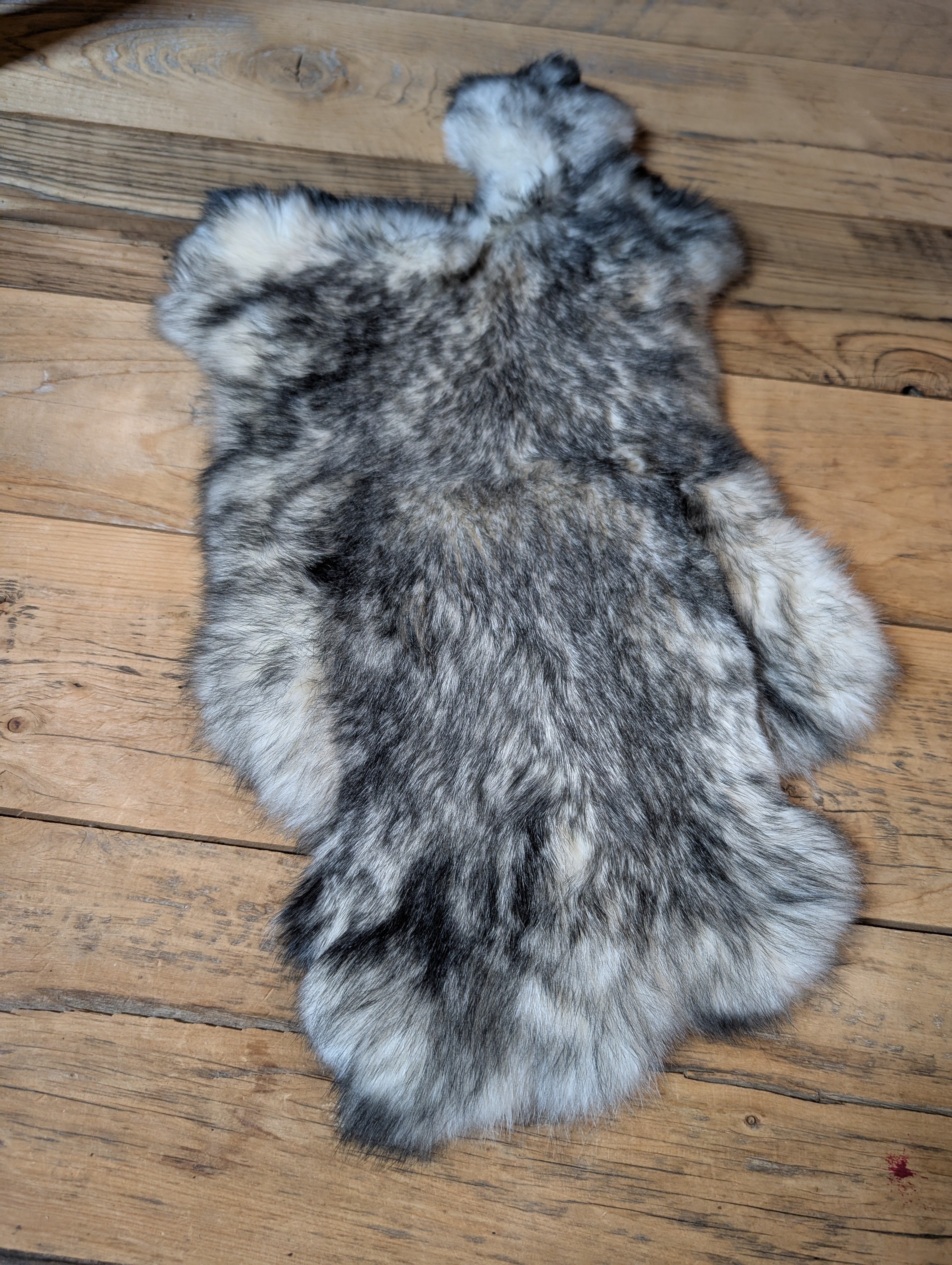 Rabbit Pelt