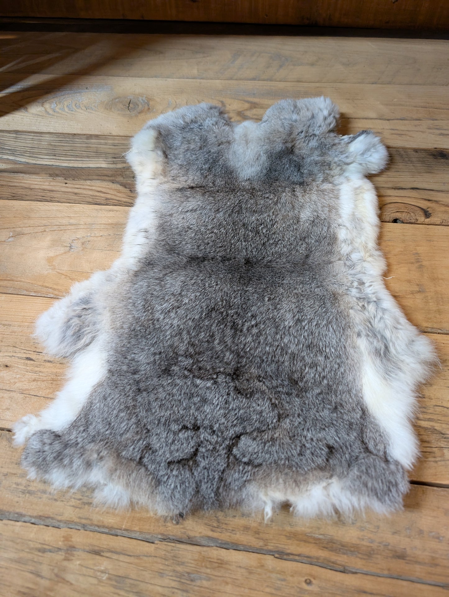 Rabbit Pelt