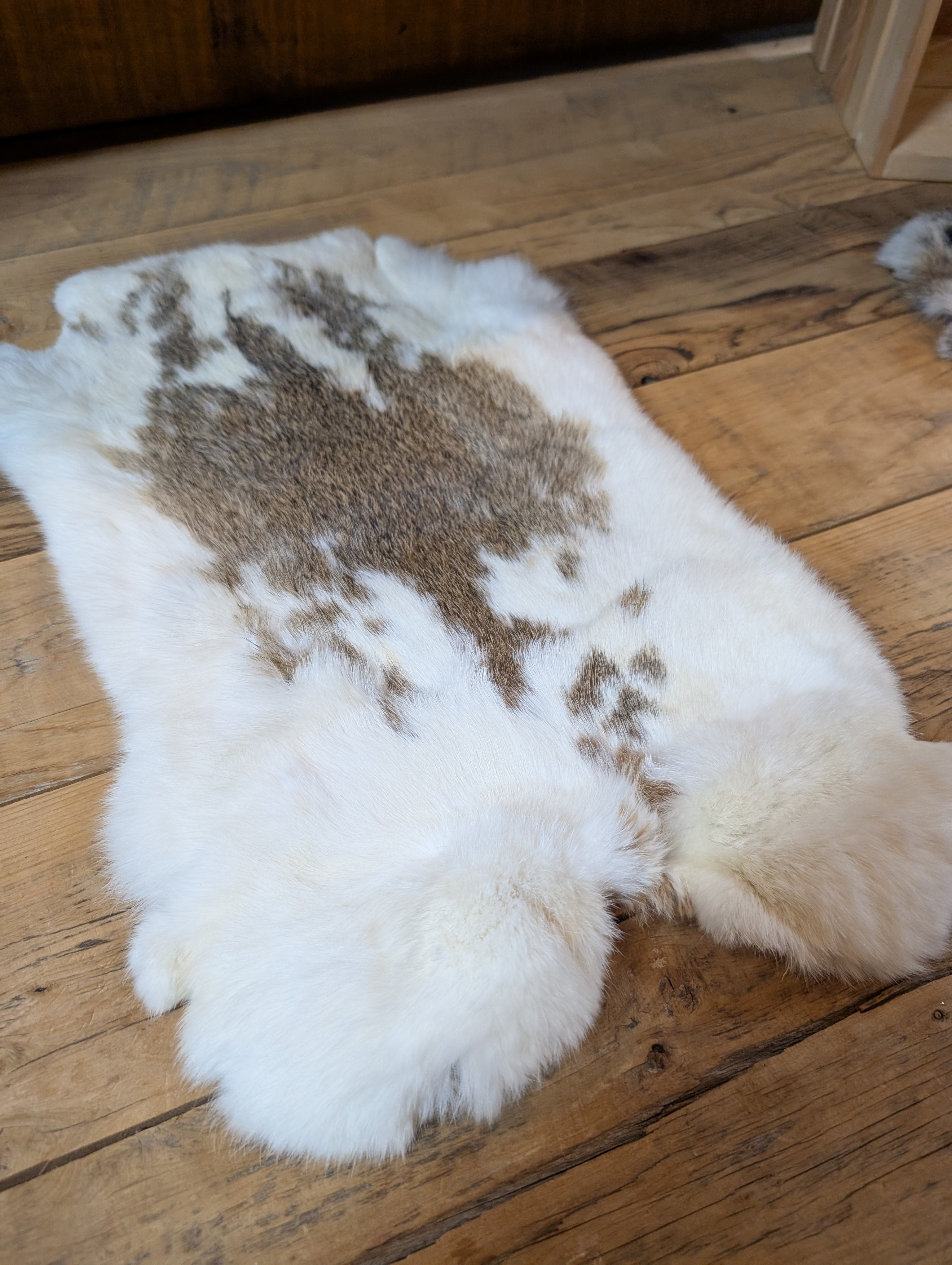 Rabbit Pelt Brown & White