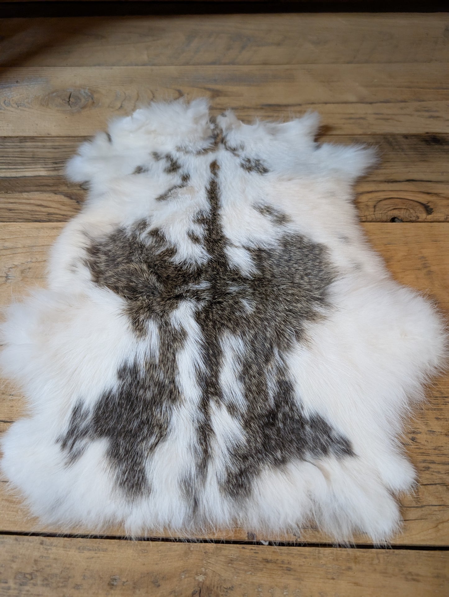 Rabbit Pelt