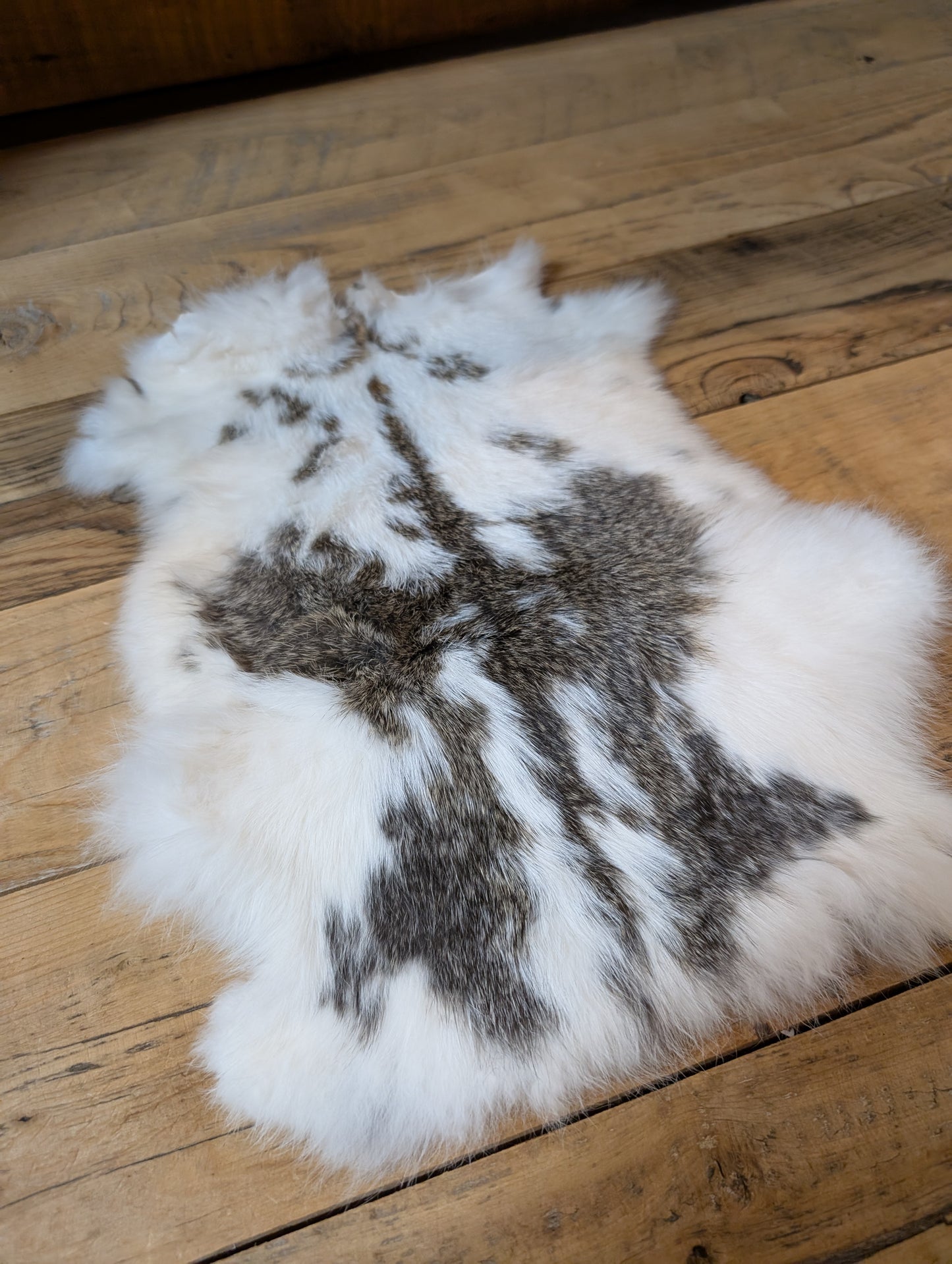 Rabbit Pelt