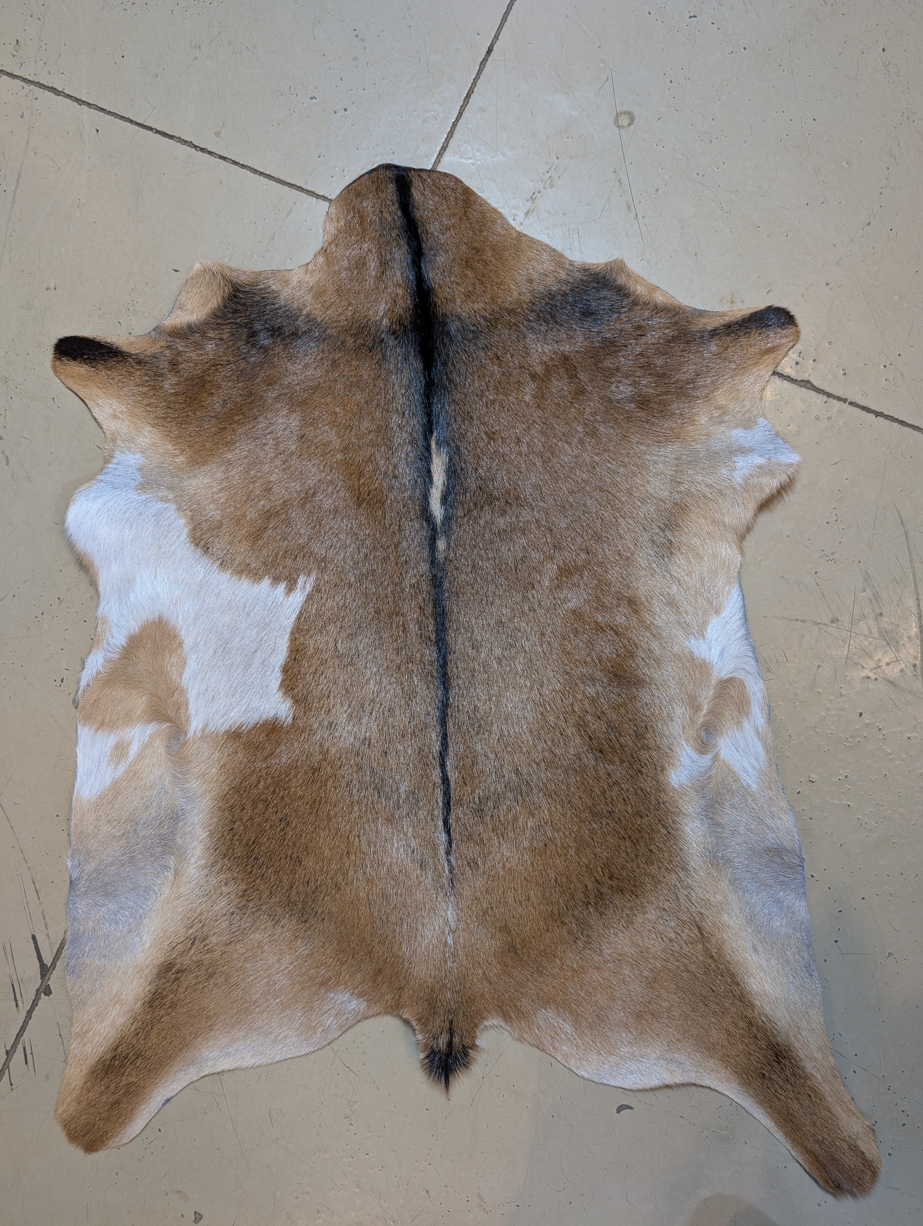 Genuine Goat Hide "Bradey"