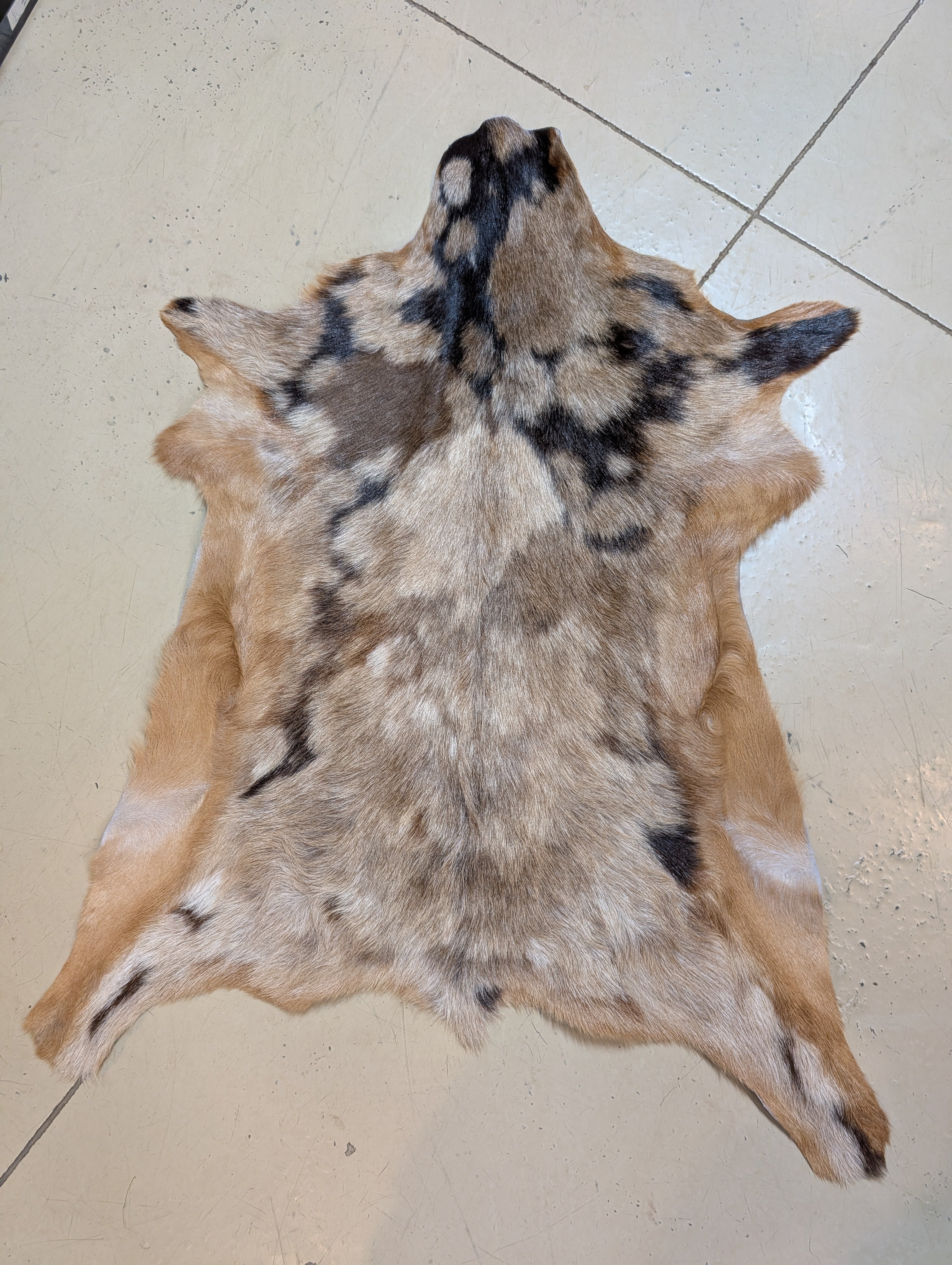 Genuine Goat Hide "Cooper"