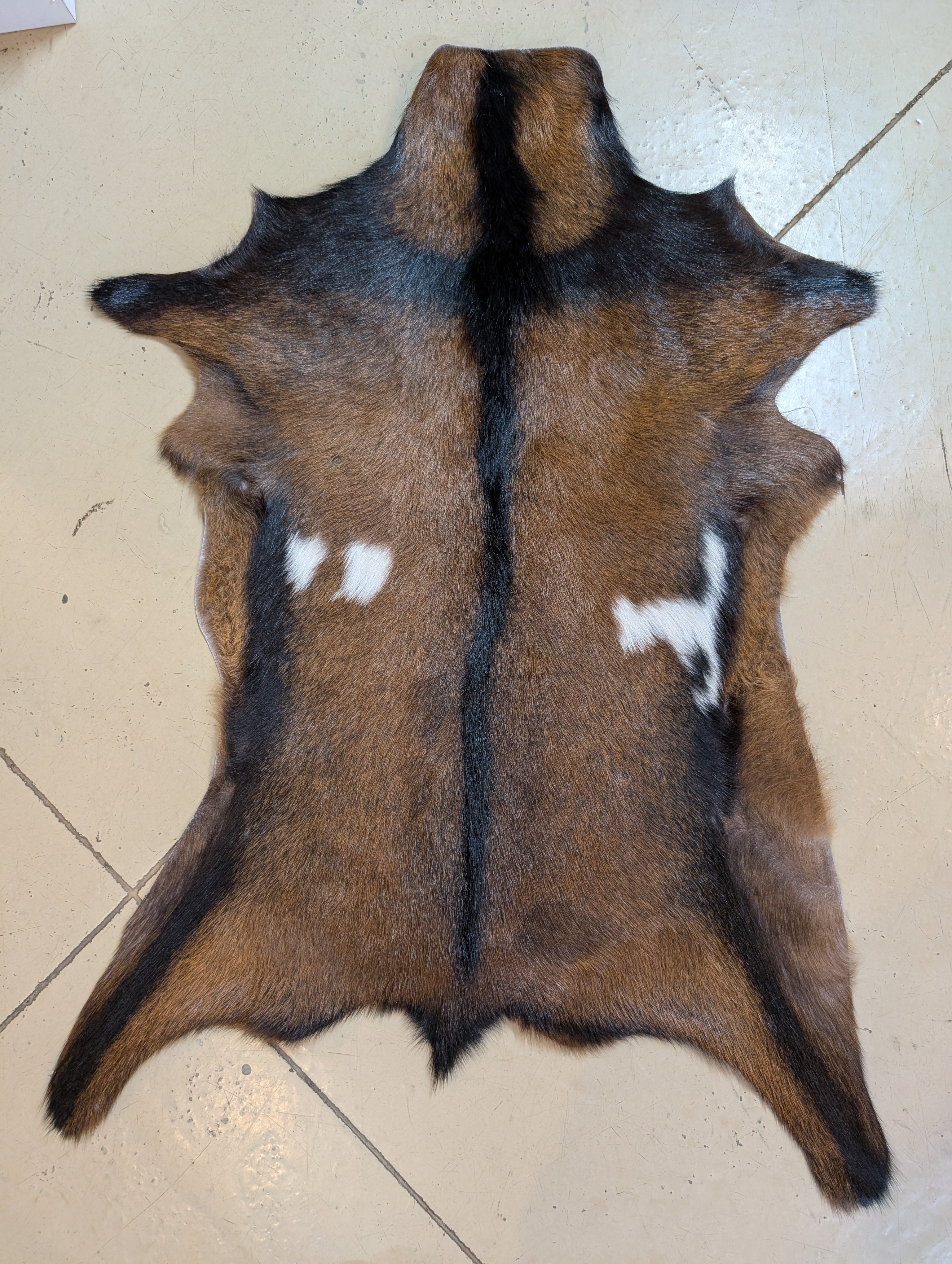 Genuine Goat Hide " Manning"