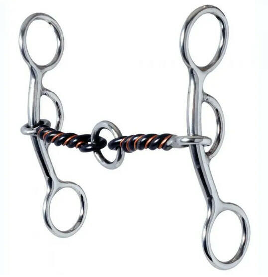 Metal horse bridle bit with a rope on a white background