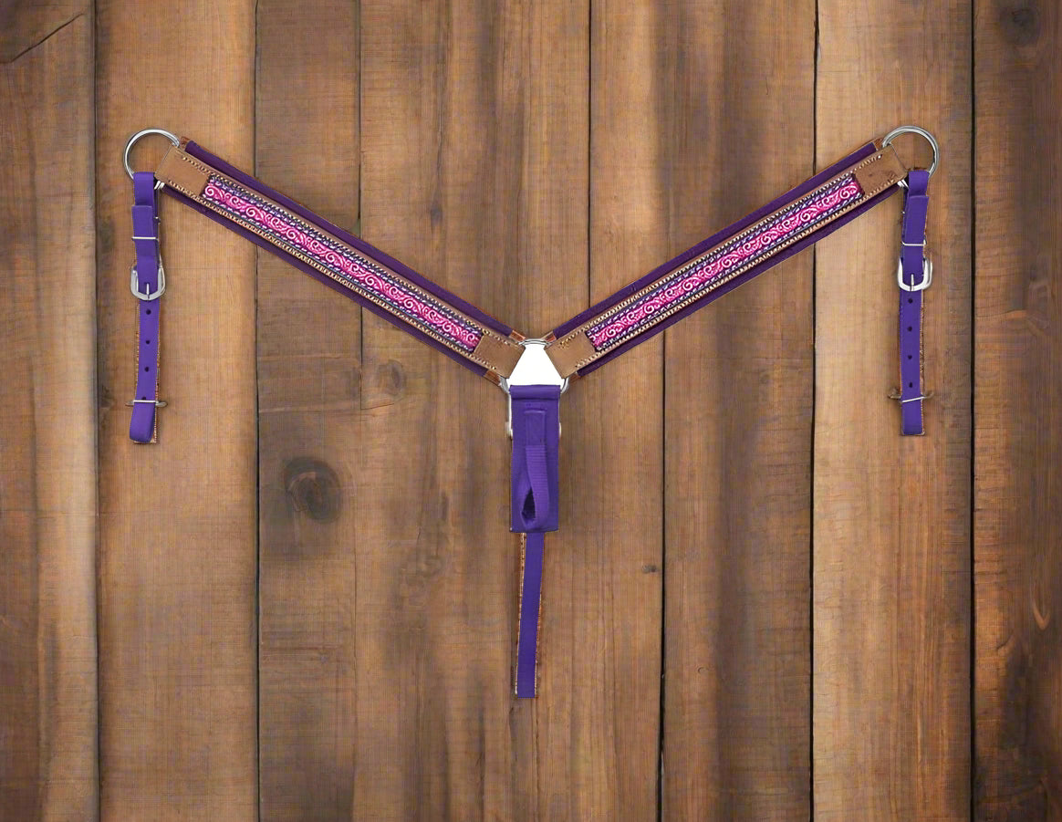 Purple and pink bridle on a white background