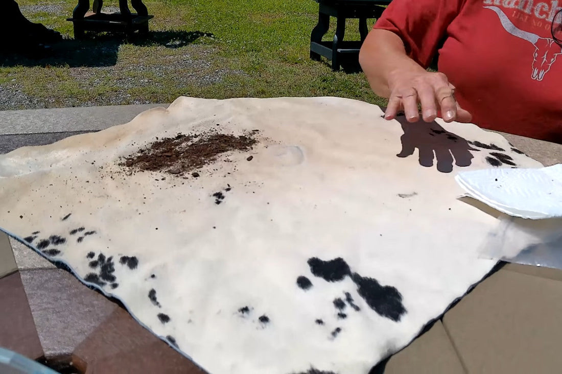 Dark dirt and debris on a white and black genuine cowhide rug.
