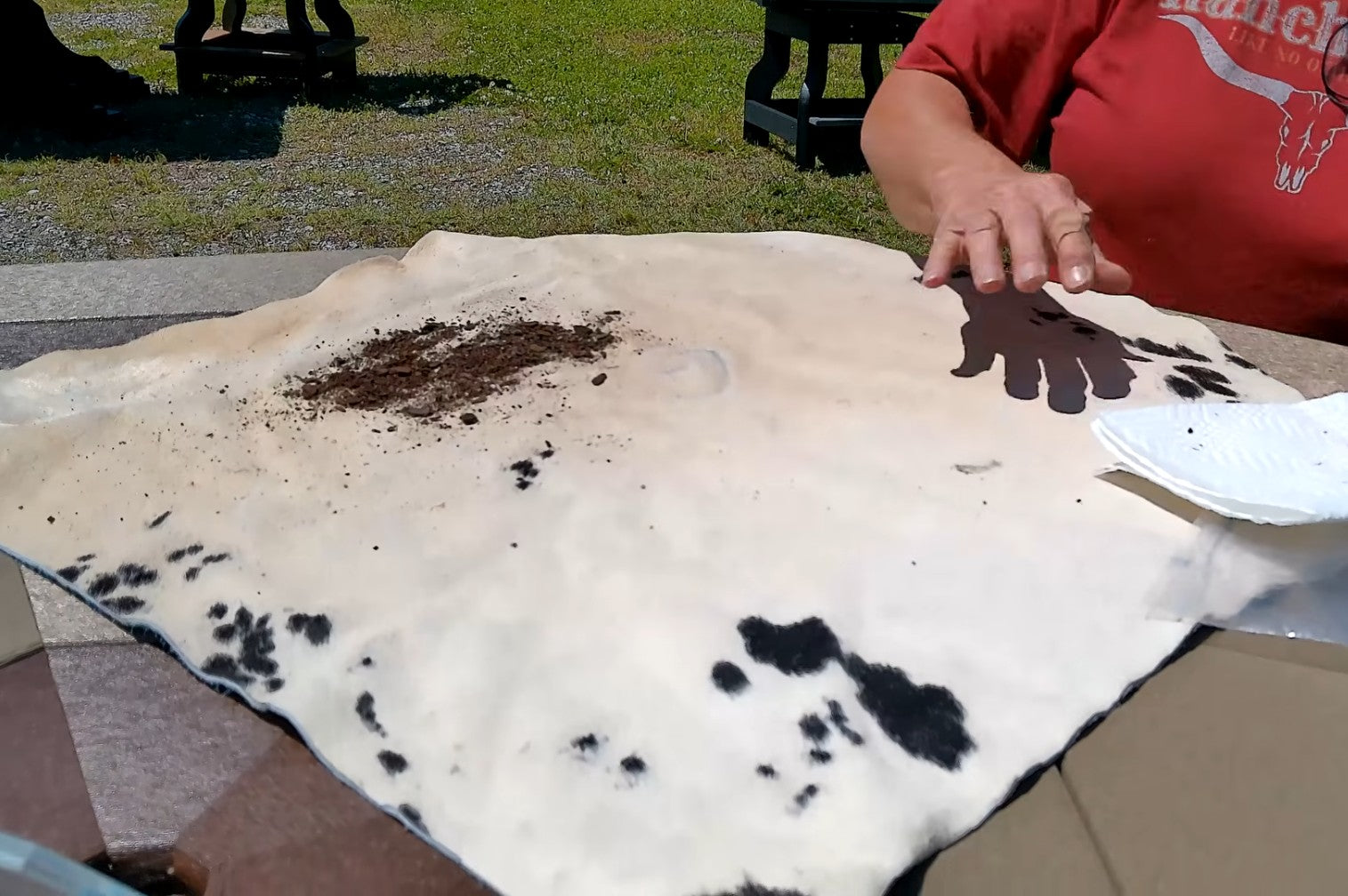 Dark dirt and debris on a white and black genuine cowhide rug.