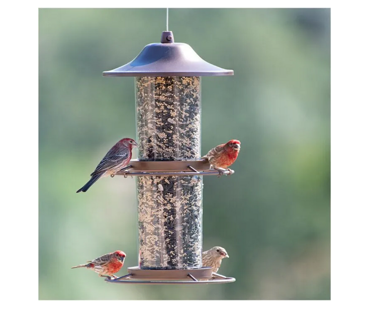 Bird Feeders