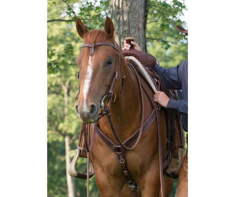 Headstall, Breast Collar, Reins