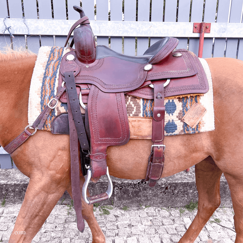 Horse with a used flat seat cutting saddle, breast collar, and saddle pad.