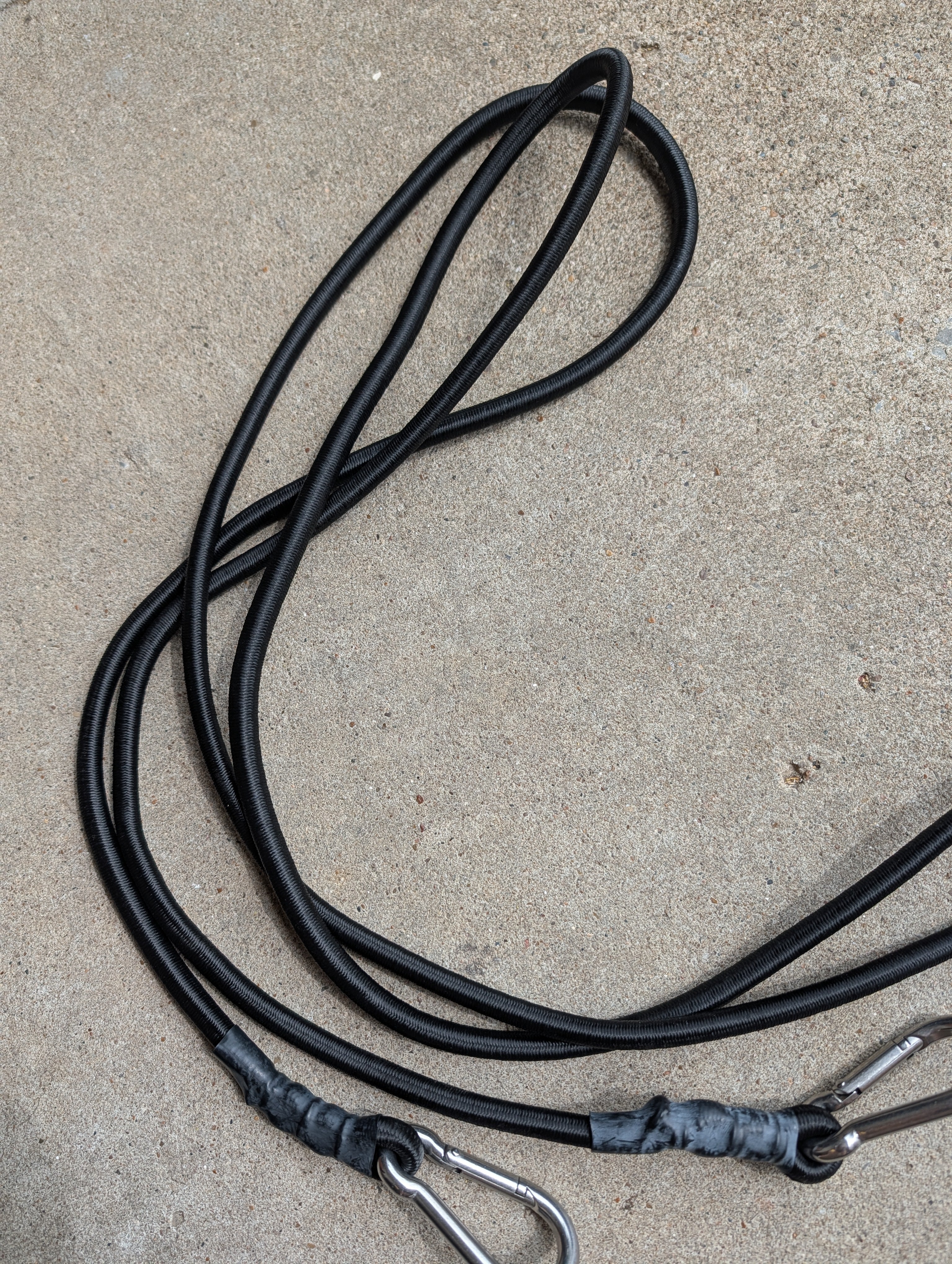 bungee cord with clips