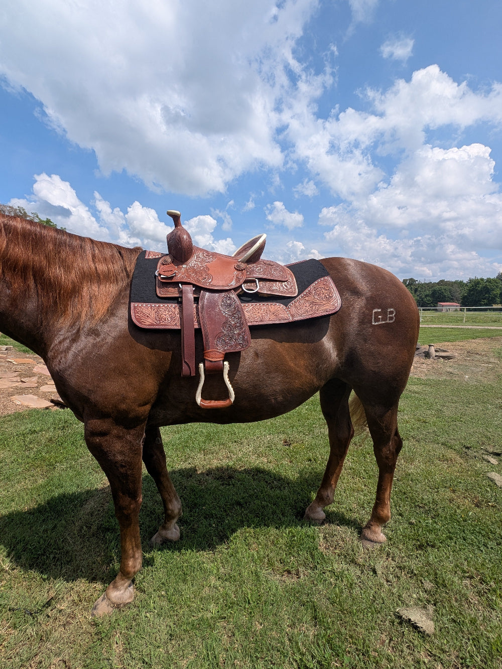 13 inch youth Western saddle with bicycle-style seat and floral tooling