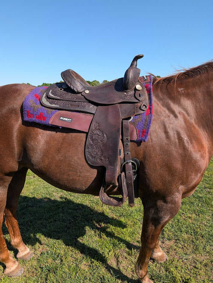 Used dark color trail saddle on a horse with a purple saddle pad. 