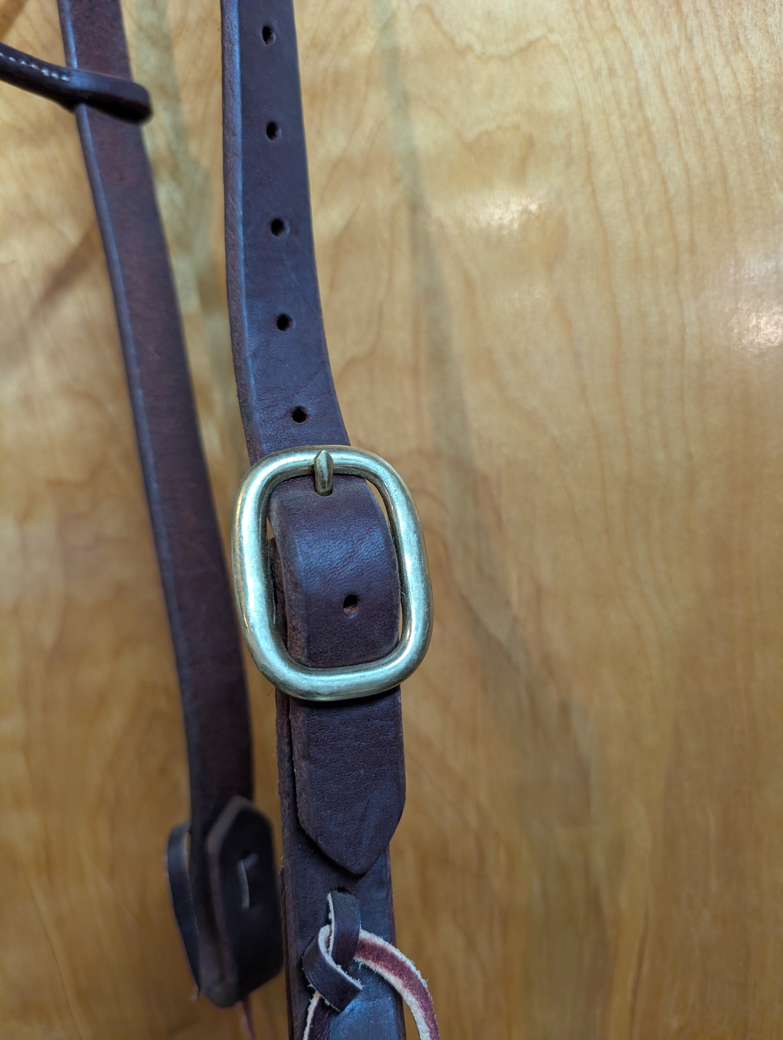 Headstall with brass buckle