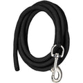 Black leash 