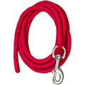 A red miniature cord lead with a nickel-plated bolt snap, designed for miniature horses or as a dog leash.