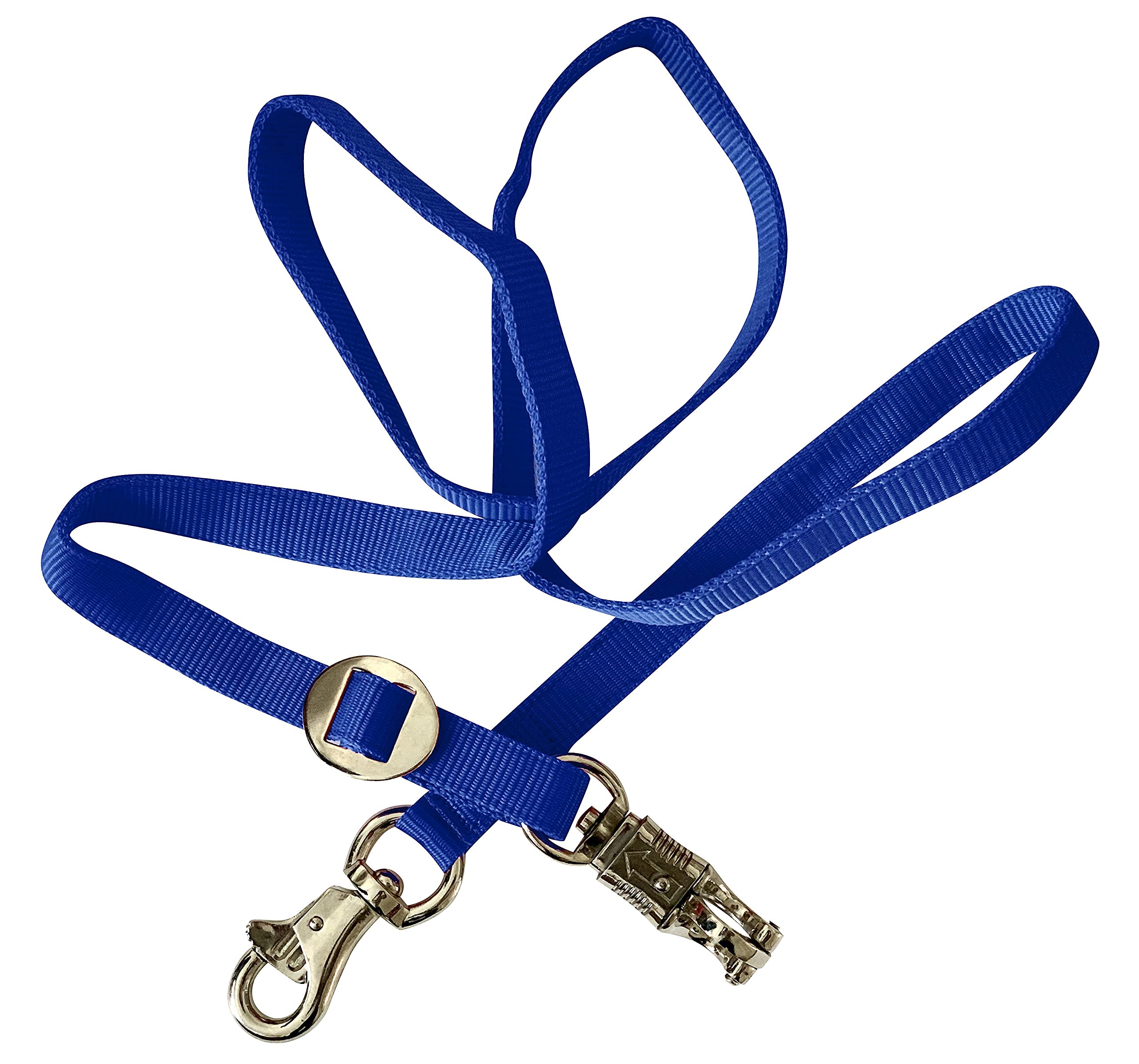 Blue dog leash with gold hardware on a white background