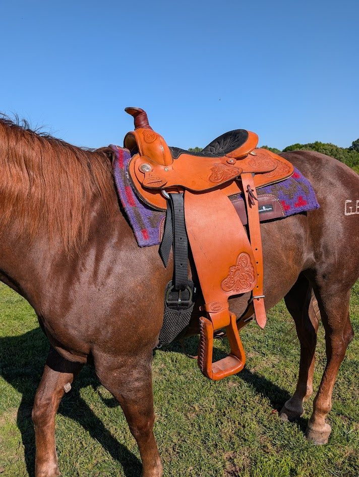 Horse with a brown leather saddle on.