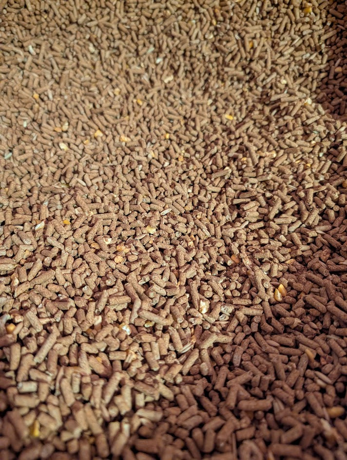 Up-close Pellet sweet feed image