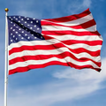 Flag pole with a 3x5 American Flag