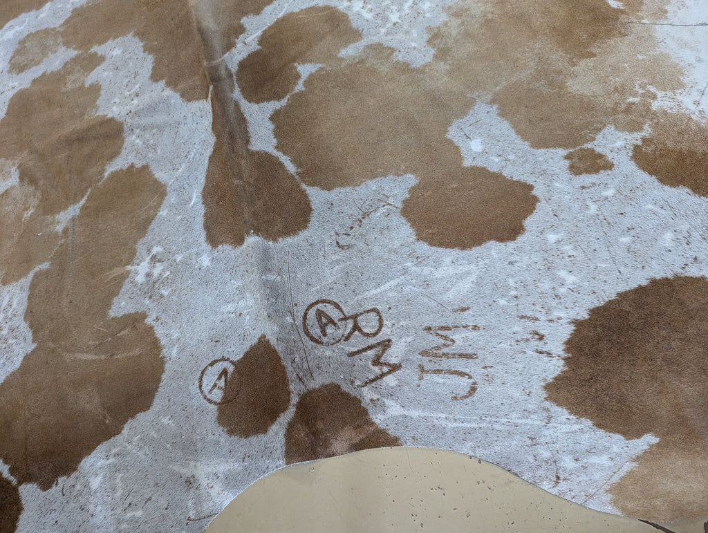 up close view of cowhide with brands