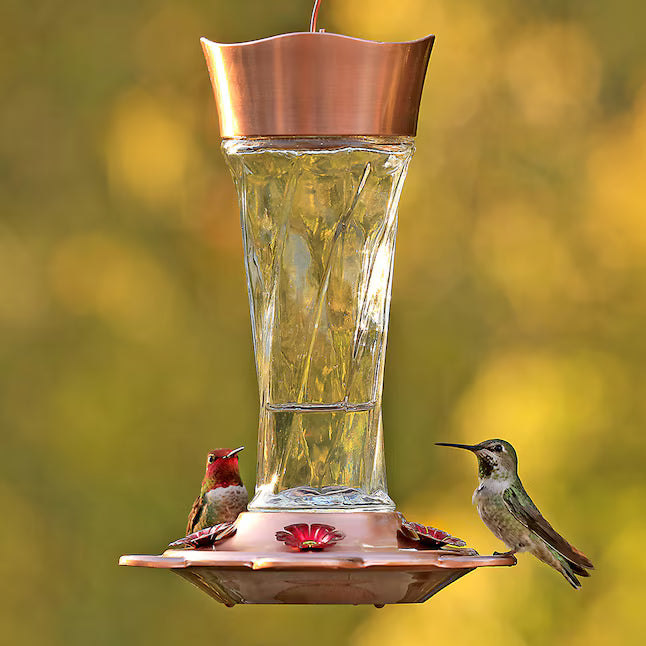 Hummingbird feeder with hummingbirds perched 