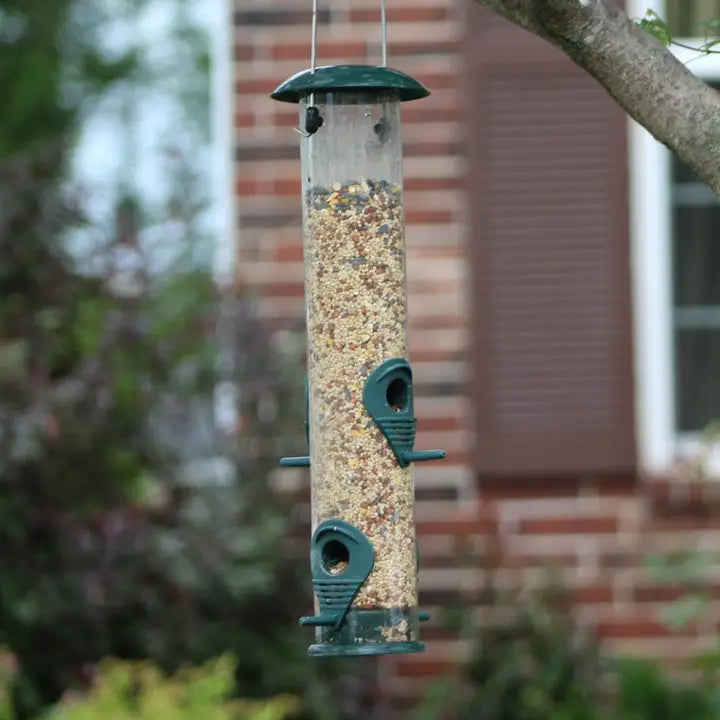 Bird feeder hanging from a tree 