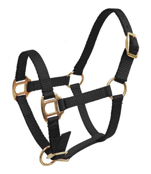 Black Foal/Mini Premium Nylon Halter with Brass Hardware