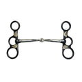 Horse bit with decorative design on a white background