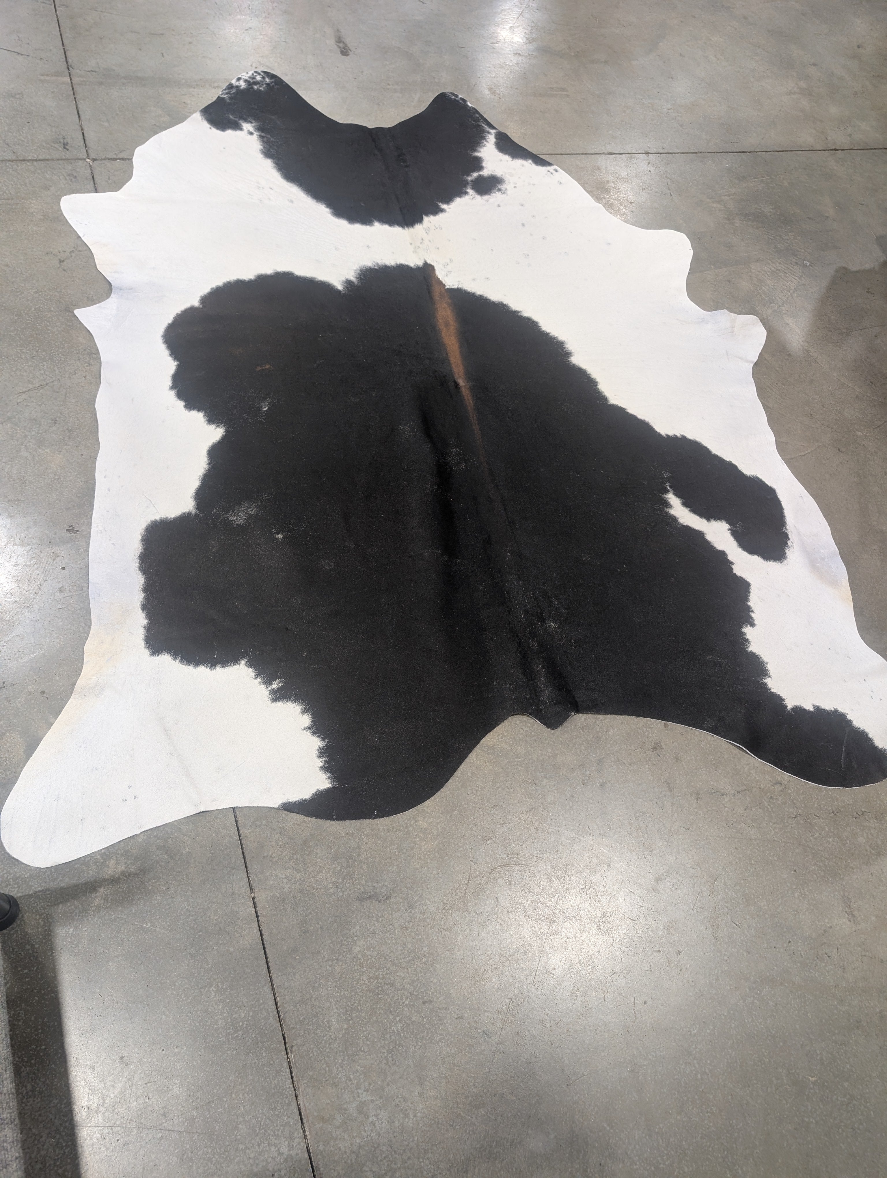 A black and white cowhide rug laid out on a floor, with a pattern of natural cowhide markings.