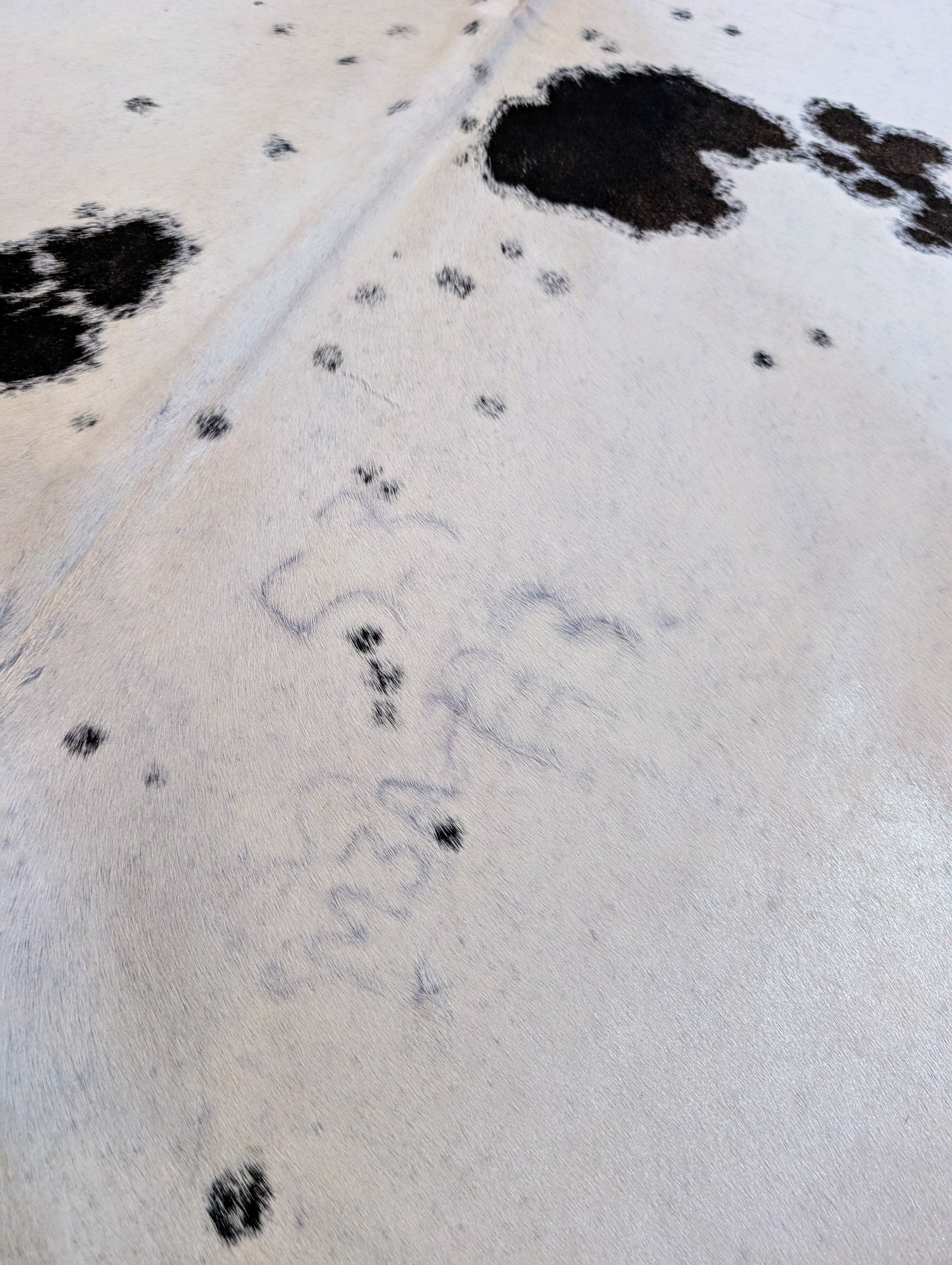 Up-close view of black and white cowhide rug