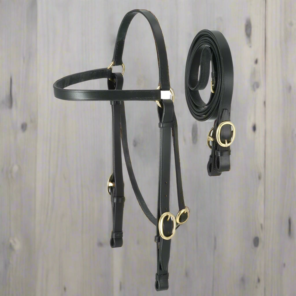 Black leather Western headstall with brass quick change buckles and matching reins