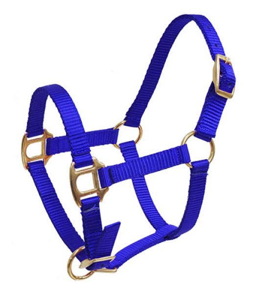 Blue Foal/Mini Premium Nylon Halter with Brass Hardware