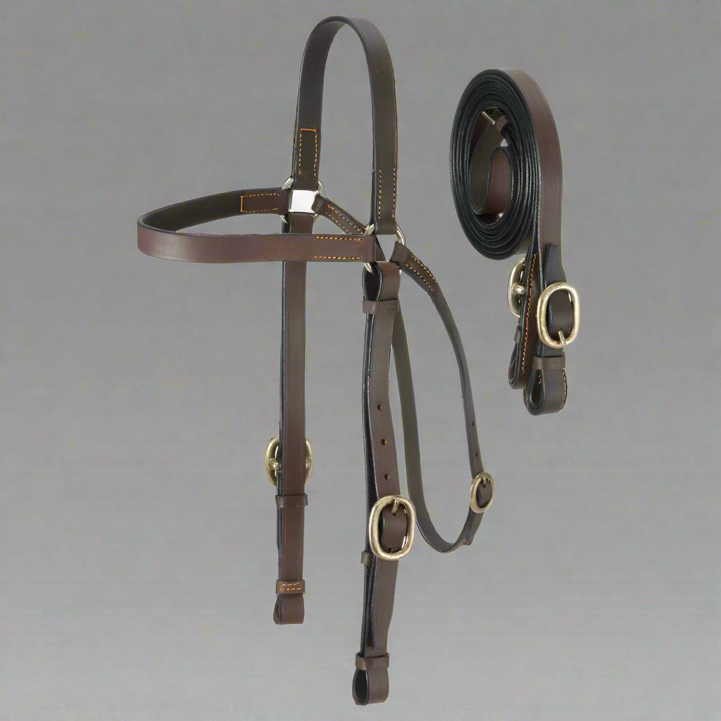 Close-up of Western tack set featuring brown leather and brass hardware rein connectors