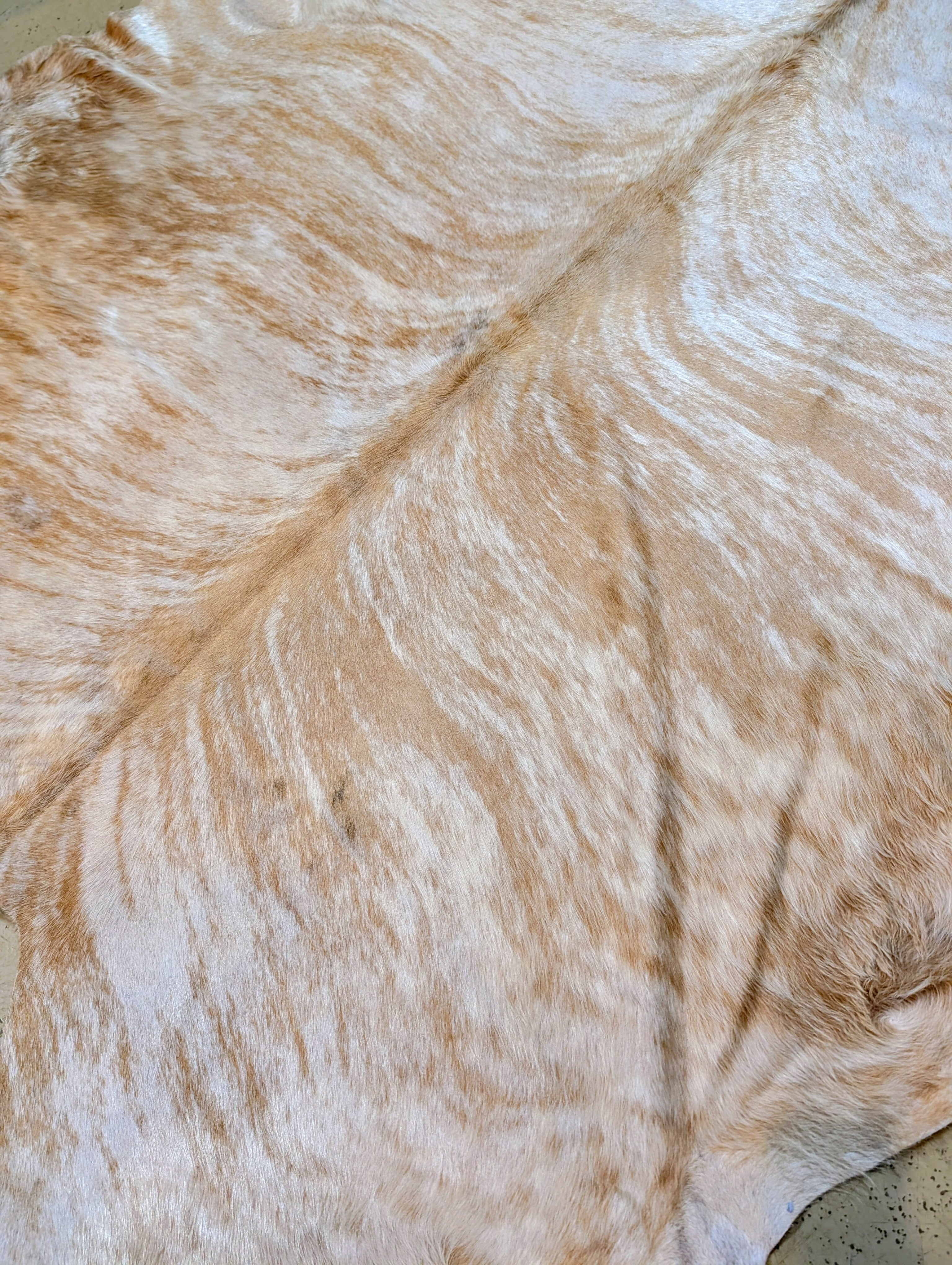 close-up of a brindle cowhide rug.
