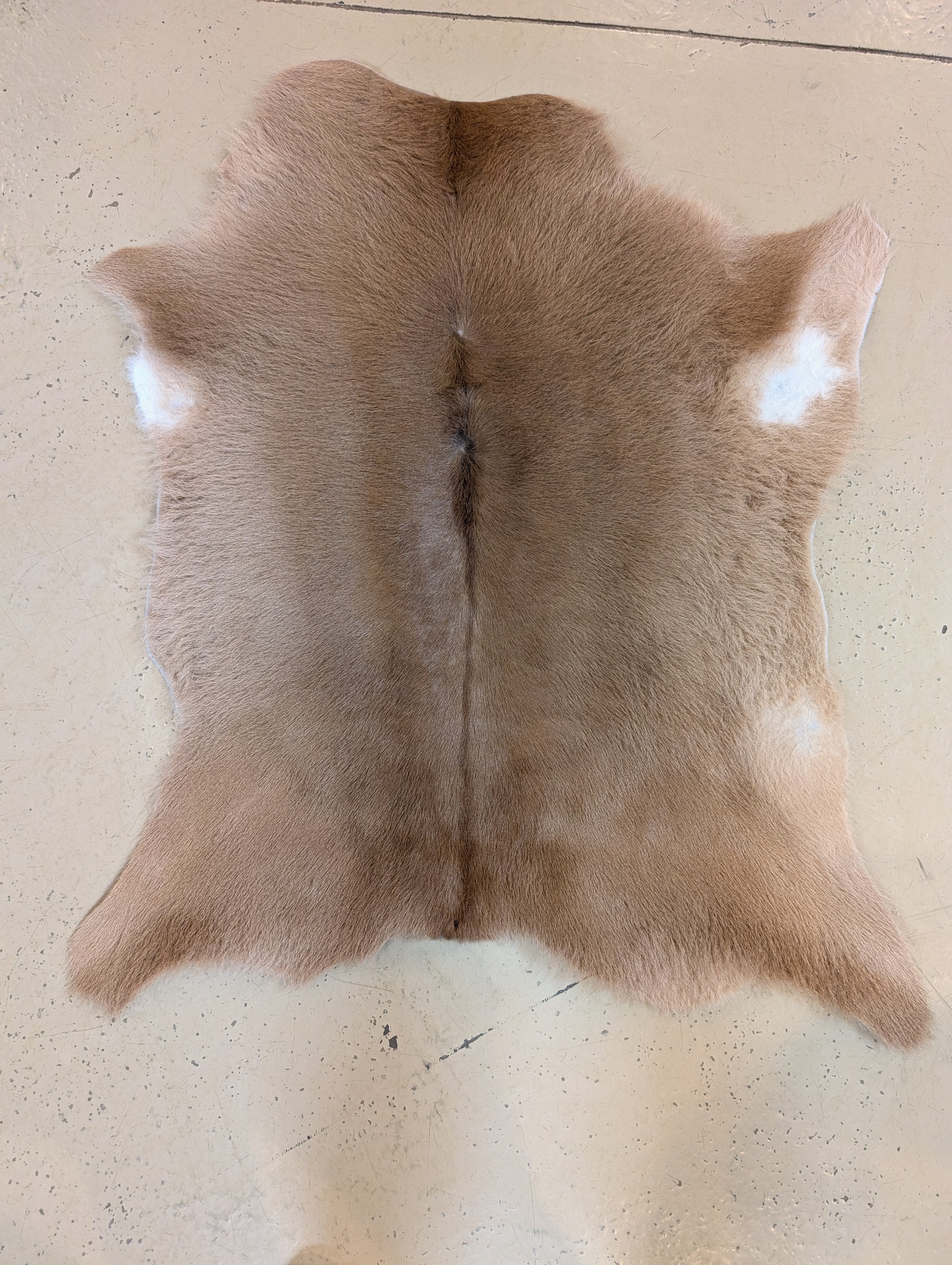 Small Genuine Cowhide brown #15