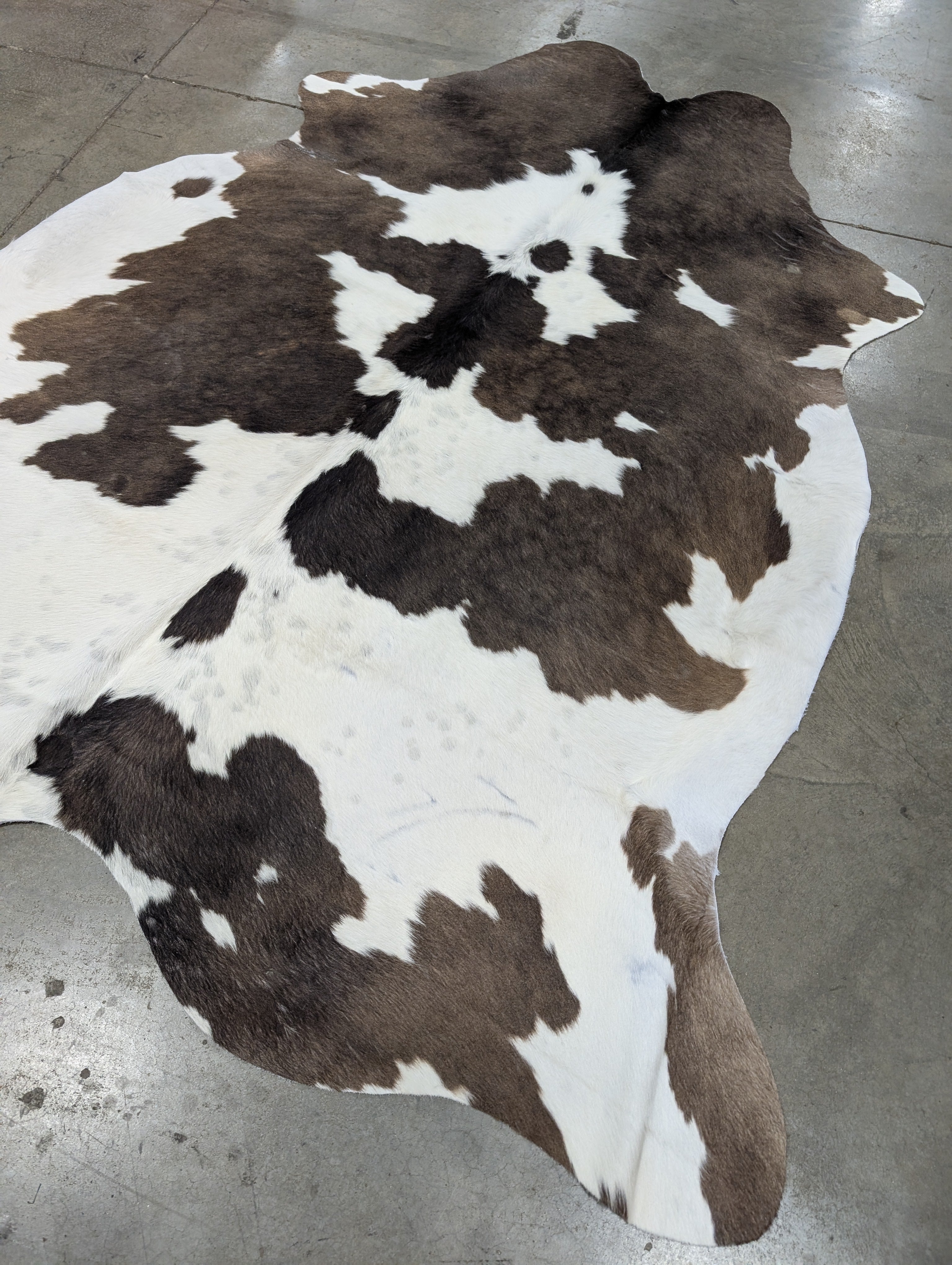 Brown and white genuine cowhide rug  on a grey floor
