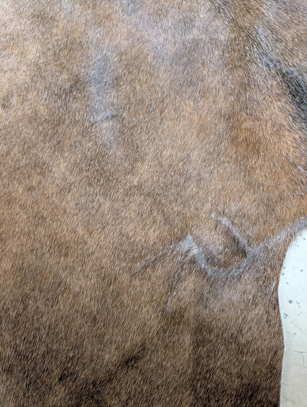 Brown cowhide Rug with a brand