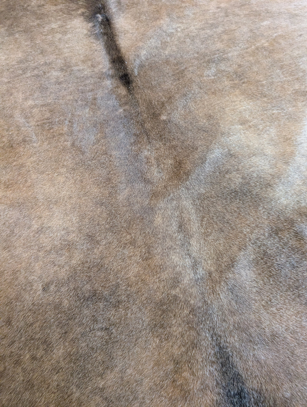Brown cowhide Rug up close view