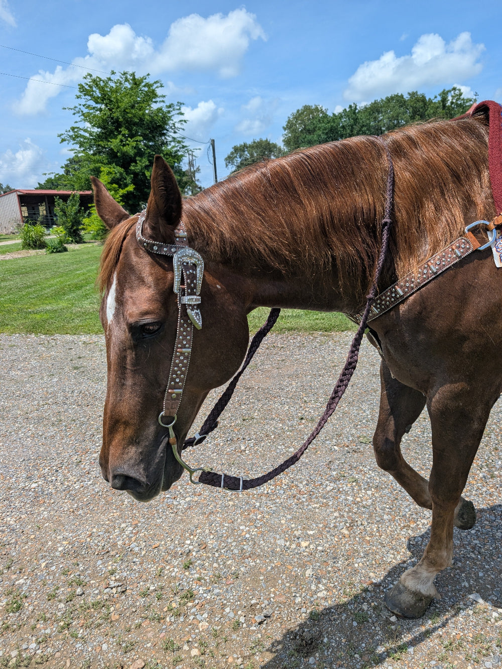 Remington headstall and breast collar set with silver crystal buckle and bullet conchos