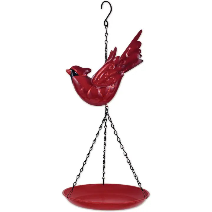 Red cardinal bird feeder with a black chain 