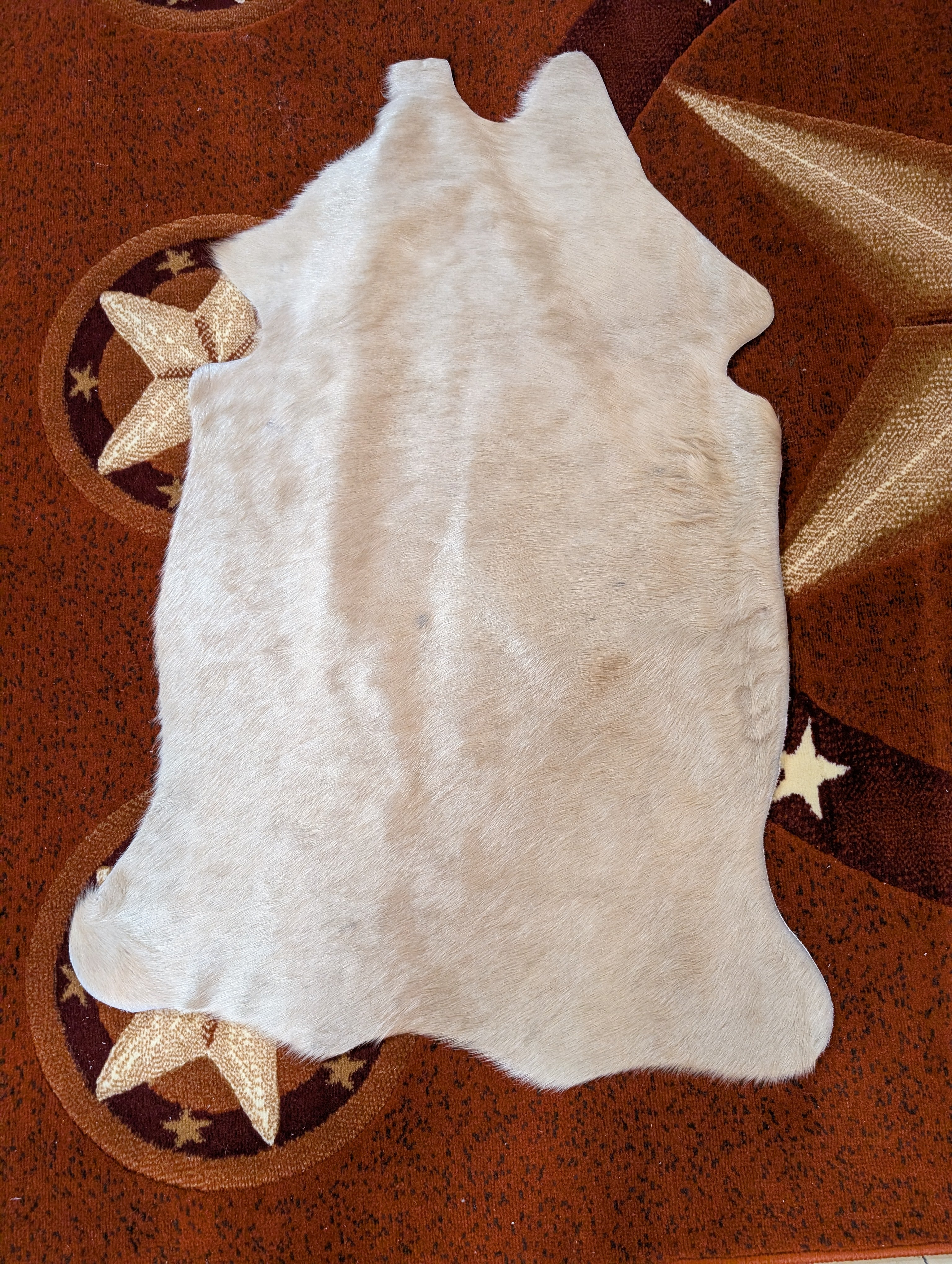 Small Cowhide Champagne